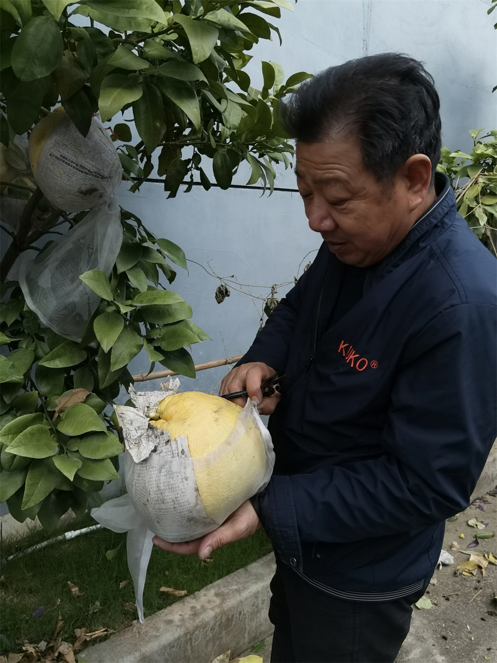 1690300069338696.jpg 4.jpg